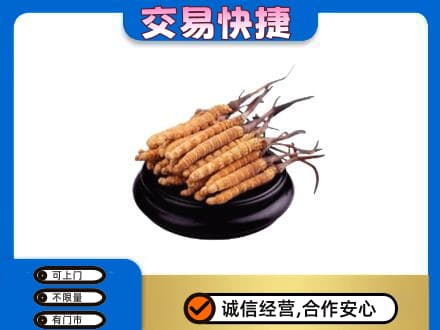 包头礼品回收散虫草.jpg